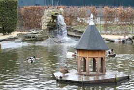 Vogelwelt vom Tierpark Bad Kösen