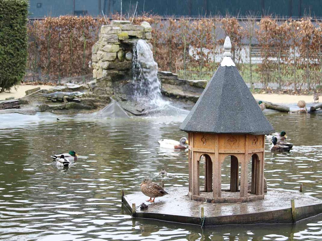 Vogelwelt vom Tierpark Bad Kösen