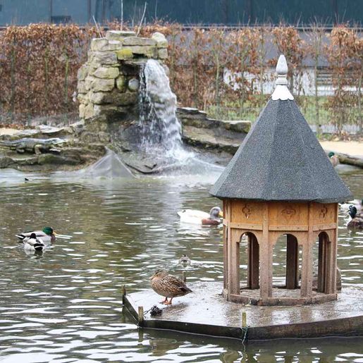 Vogelwelt vom Tierpark Bad Kösen
