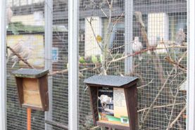 Vogelwelt vom Tierpark Bad Kösen