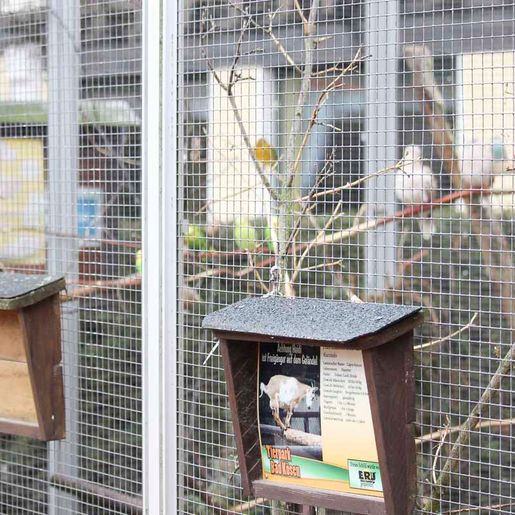 Vogelwelt vom Tierpark Bad Kösen