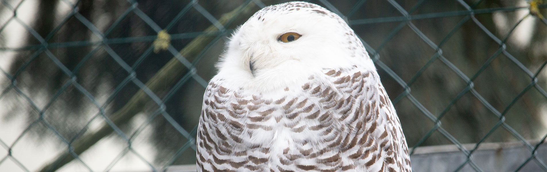 Attraktionen vom Tierpark Bad Kösen