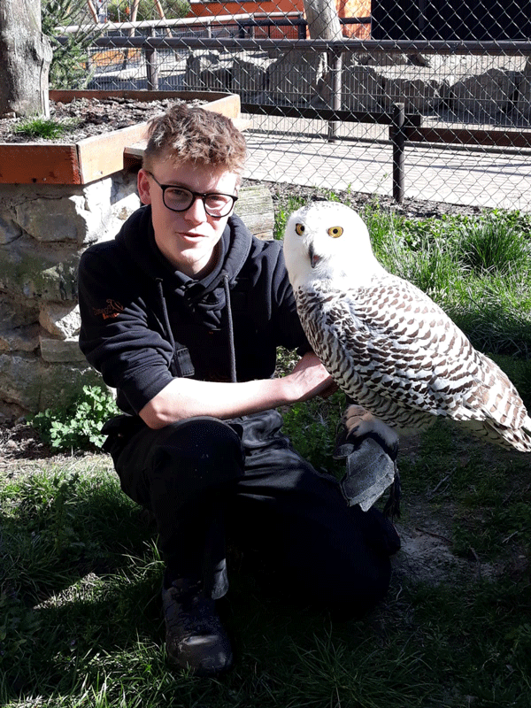 Tierpark Bad Kösen Eule