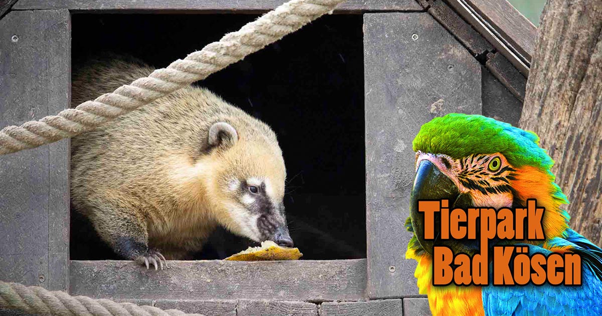 Zoo Raufen Raubtierwelt | Tierpark Bad Kösen